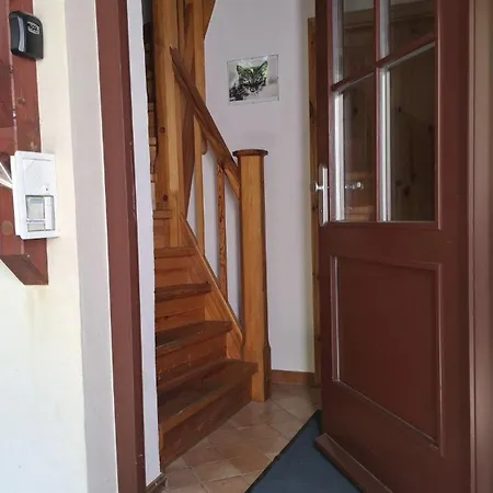 Apartment Gemuetliches 1-zimmer-appartment Mit Balkon Markkleeberg