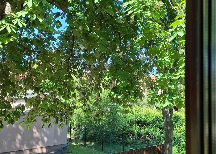 아파트 Gemuetliches 1-zimmer-appartment Mit Balkon